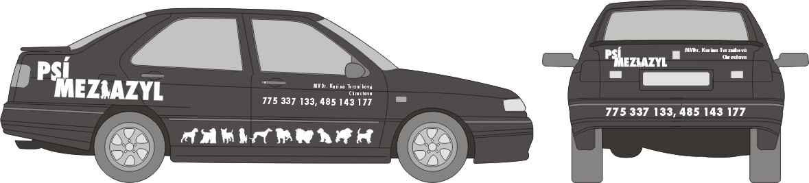 Seat Toledo.jpg